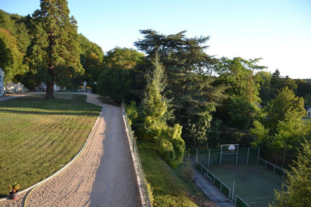 Chateau De Saint Ouen Les Vignes Exterior foto